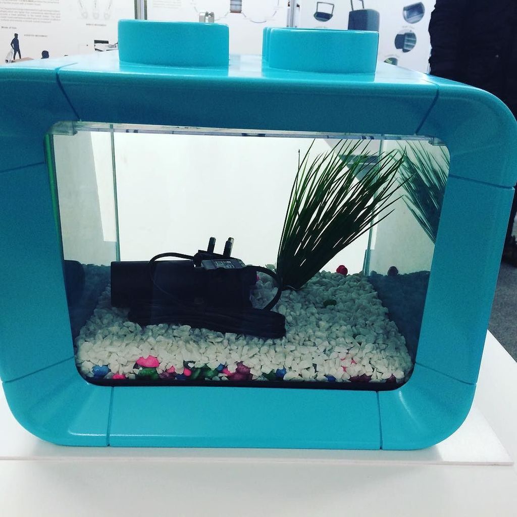 bengaluruponics's tweet image. #UCLan #Aquaponics #SketchModel #BA Design. #Nearly Finished by ladettebyrne