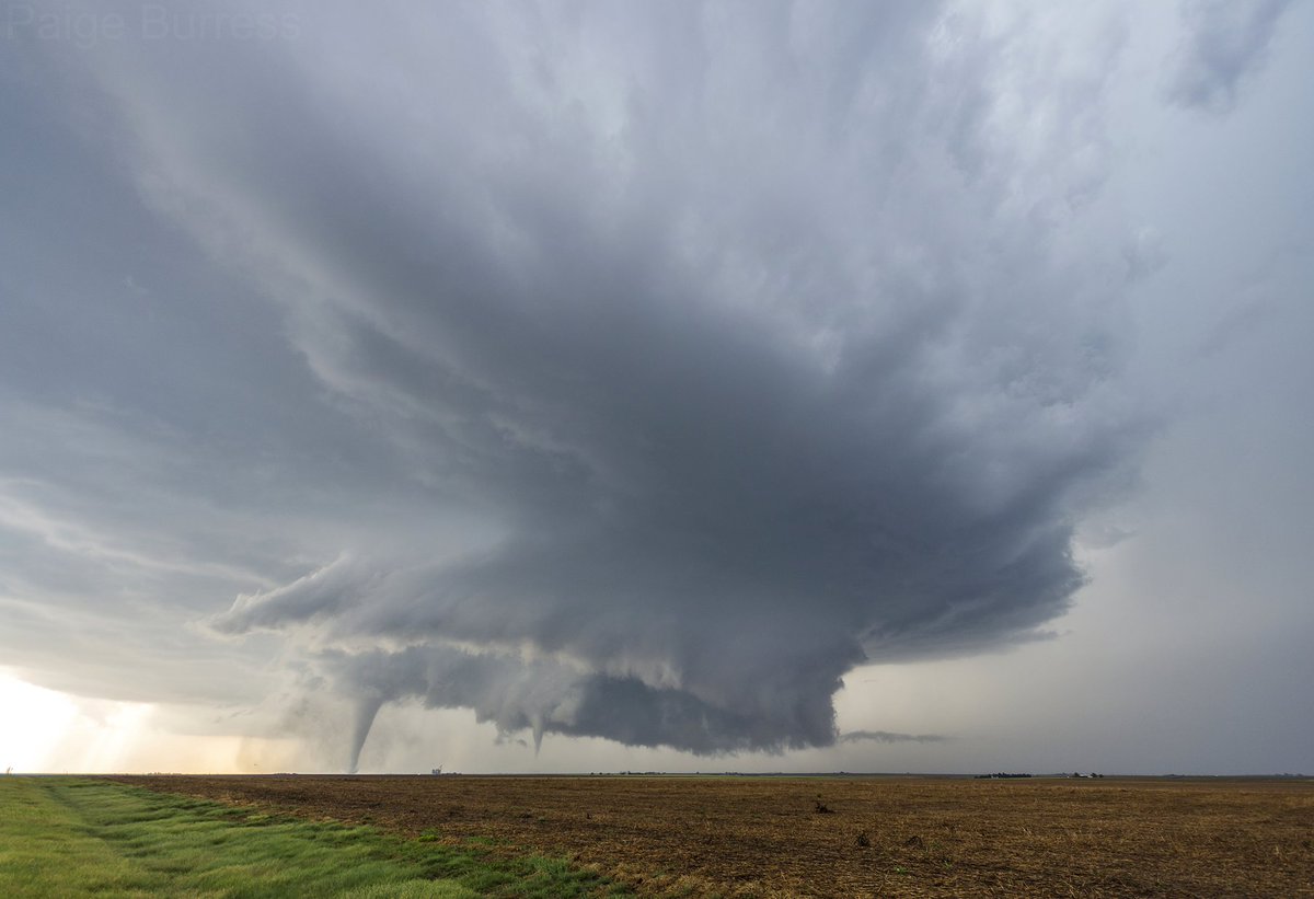 One of at least three sets of twins (&amp; set of triplets!) that we witnessed near Dodge City, Kansas, yesterday.