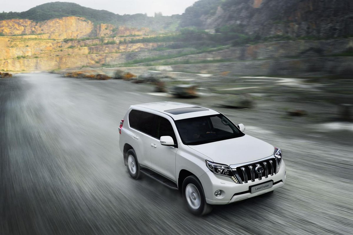 Bat6Fox's tweet image. 