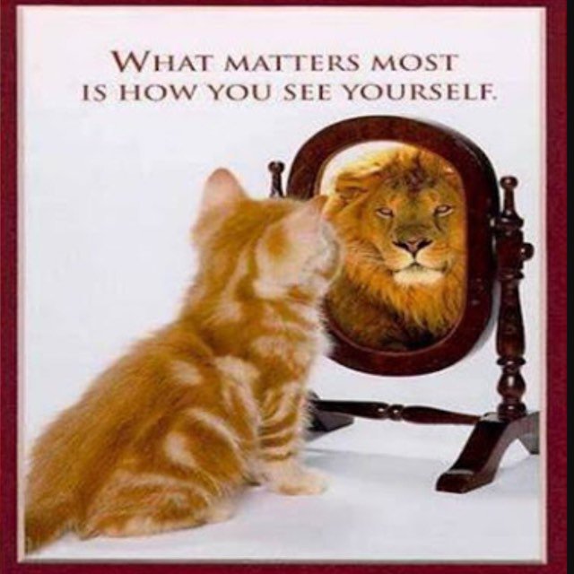 KaygeeeMoeti's tweet photo. https://t.co/lsqN0QjHcX
