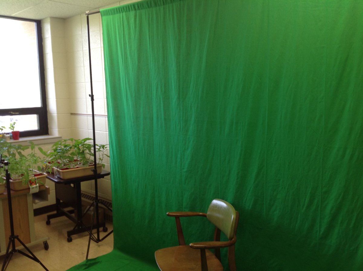 21stSAIL's tweet photo. Green screen now mobile - interviewing Exiters for their picnic movie!!  #reflection #gratitude https://t.co/X0e3grCDaB