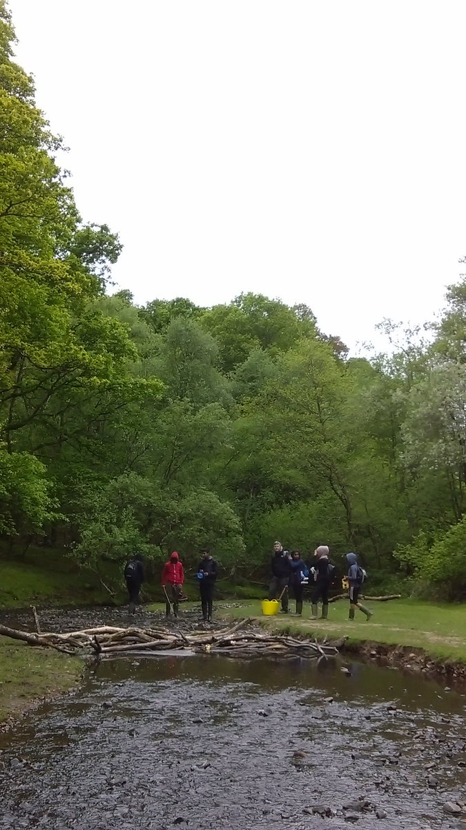 UCGSGeo's tweet photo. River Holford river investigation @FSCNettlecombe #yearoffieldwork https://t.co/37SHohox9I