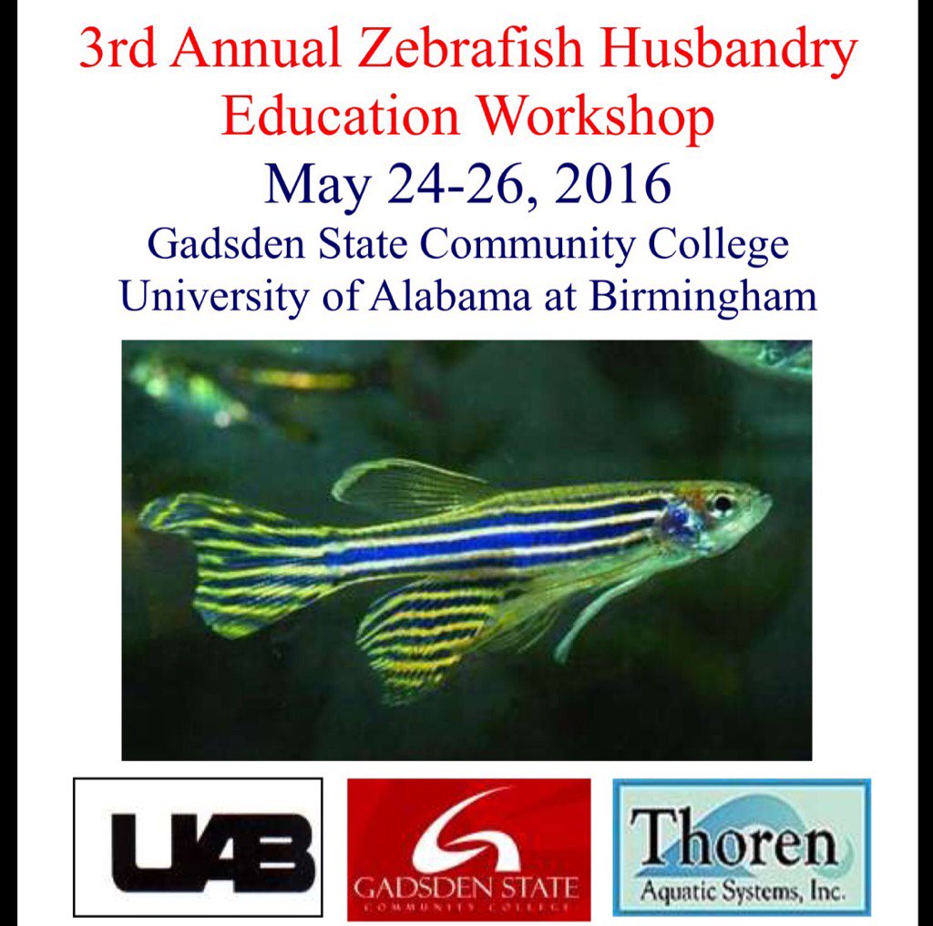 ohatchee8's tweet photo. Zebra fish workshop at GSCC https://t.co/M45EUuzfmC