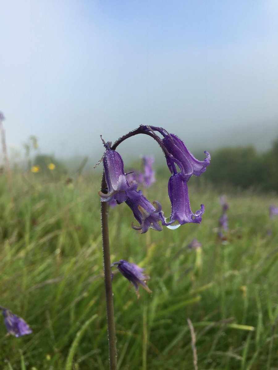 Misty start in Barkisland on Tuesday