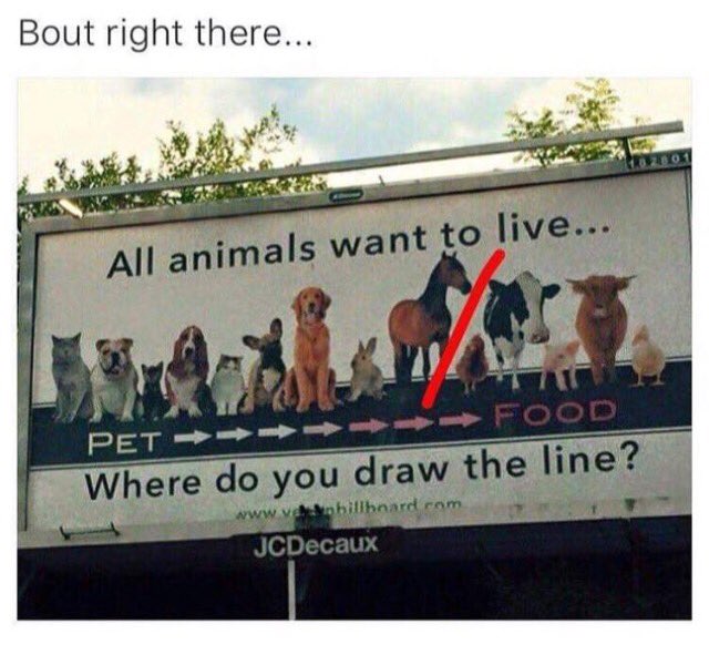 UKSuppReviews's tweet photo. Actually horse is supposed to be nice and rabbit meat is pretty common https://t.co/HNMiuZ47DN