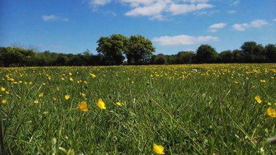 rookwoodfest's tweet photo. We'll be on site in a couple of days!  https://t.co/fGW4r137eF #sitebuild #excited #countdown #festivalseason https://t.co/PPkDbnX6IR