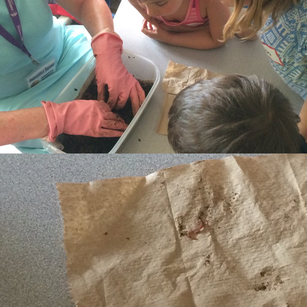 mrs_capocci's tweet photo. Exploring a worm's habitat. #friend softhearted#scientists interaction #fdk https://t.co/Fp5wbGLdZU