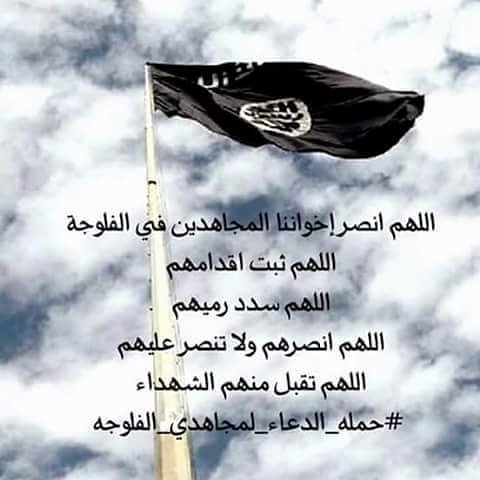 Aobaeda Homs tweet media