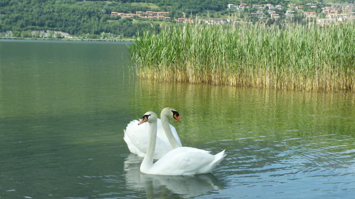 Dolci incontri passeggiando x il lago di Annone. ...💖💖💖