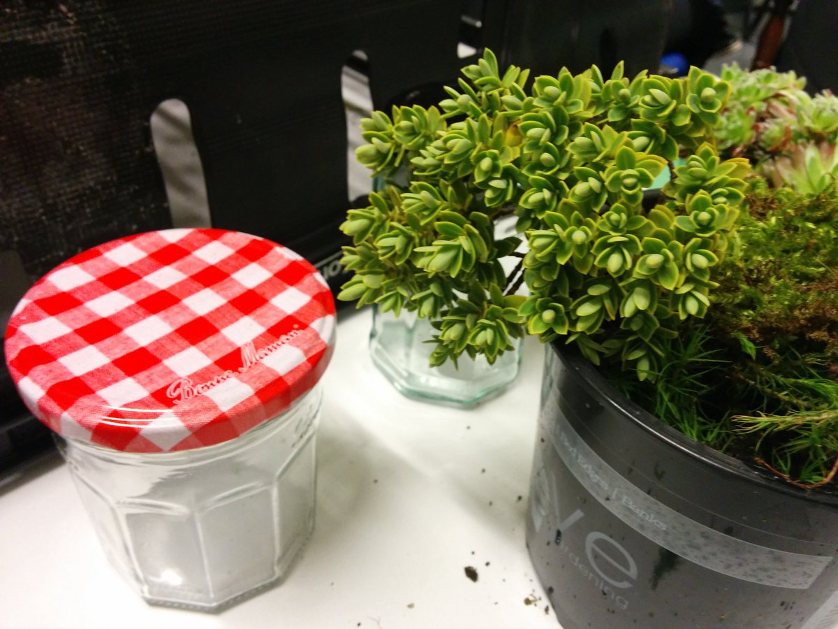 dundeelibraries's tweet photo. Making biomes with Mairi Collins at #DundeeMakerspace #ignitedundee https://t.co/FnEG6XOjuX