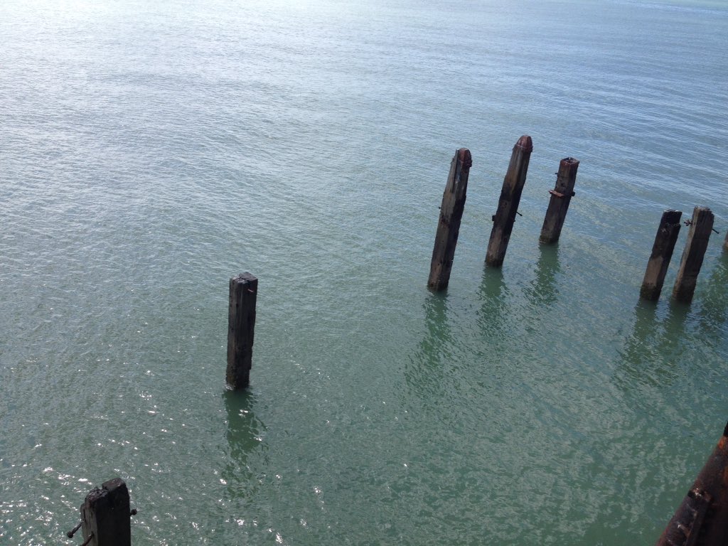 Nicole Zaaroura tweet media