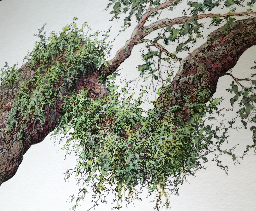 kellyleeavery's tweet image. Tree branch wc&amp;amp;ink