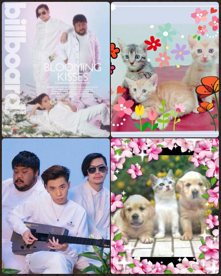 am_rura's tweet image. #มีความมุ้งมิ้ง #มีความตั้ลล้าก นี่มันใช่เลย #PolyStyle #มีความบอยแบนด์ 555 หัวใจนะคับ 💙💙💙