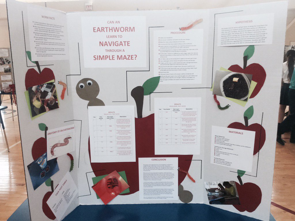 BISCLPYear5's tweet image. Well done to Ryan and Sam for your fantastic ideas too! #proudplatypuses #welovescience