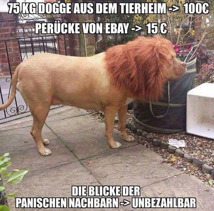 akopalypse's tweet photo. Hier bricht so schnell keiner mehr ein... https://t.co/aZ3aGOorxv