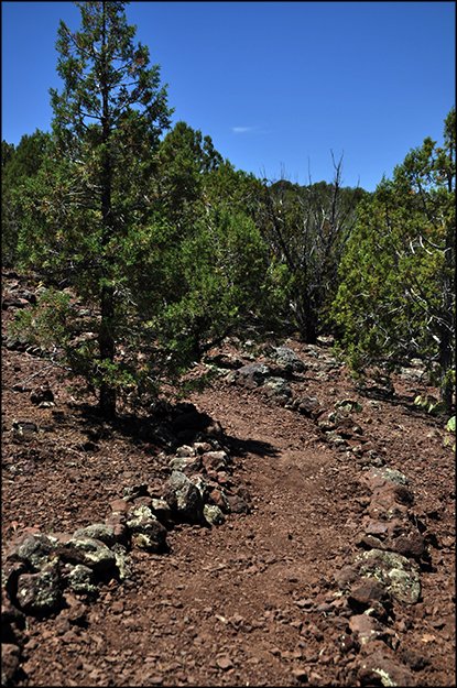 KaibabNF's tweet photo. #Comment period underway for @KaibabNF #MonitoringPlan https://t.co/eJ1DIph1eq #Forest Plan #2012PlanningRule https://t.co/AZCprOeIt1