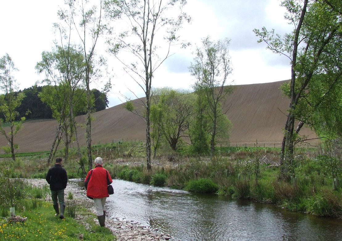 #EddlestonWater restoration - lower reaches - restore old river course and create buffer zones to reduce nutrients