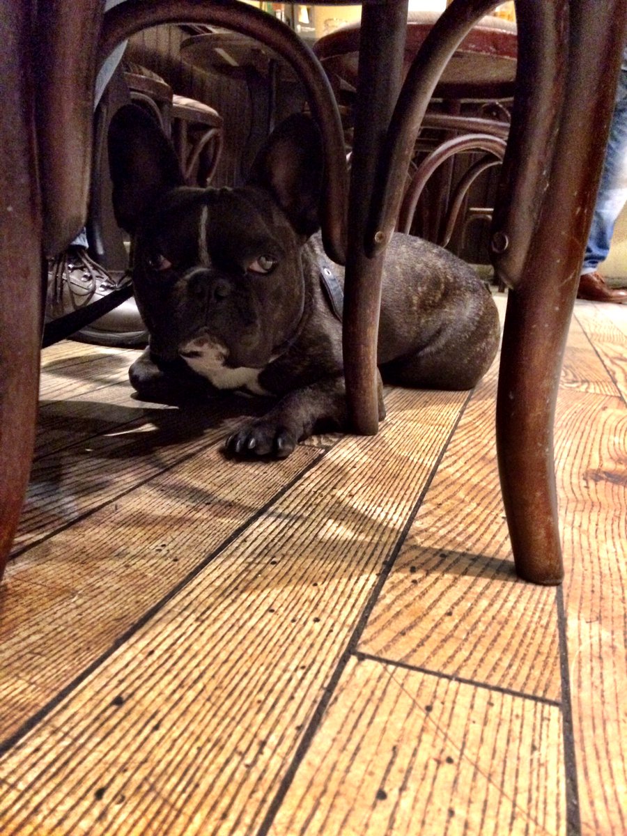 stanleyfrogdog's tweet photo. @dugsNpubs @symposiumidle 🐾🍺💙 https://t.co/3wDVof6fz3