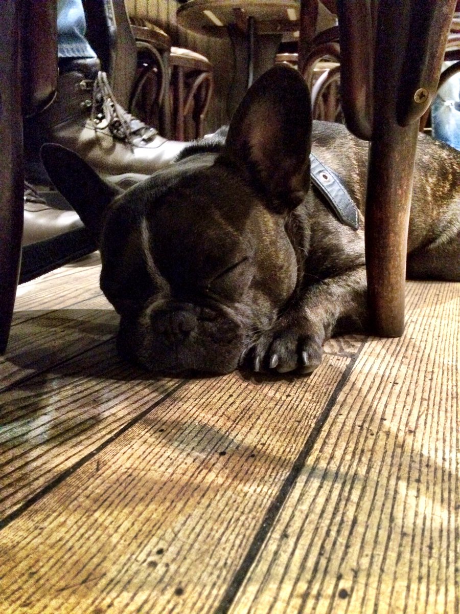 stanleyfrogdog's tweet photo. @dugsNpubs @symposiumidle 🐾🍺💙 https://t.co/3wDVof6fz3