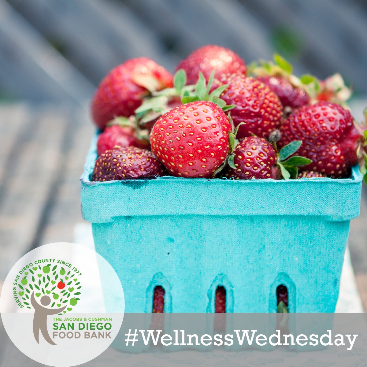SDFoodBank's tweet photo. Strawberries are in season & are chock-full of nutrients! https://t.co/0tlaiLfMvn #NutritionNotes #WellnessWednesday https://t.co/QLEdLEKAm6