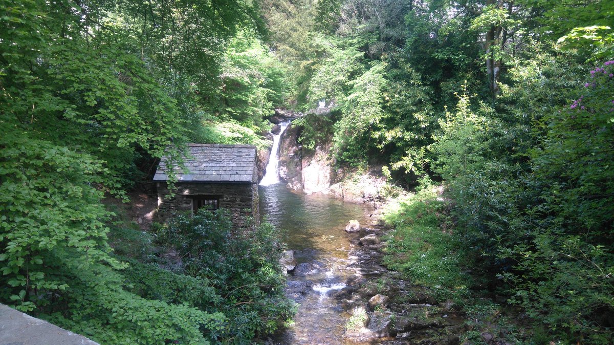 Mr_RBond's tweet photo. Exploring Rydal Hall grounds together https://t.co/Vt9jHXwKps