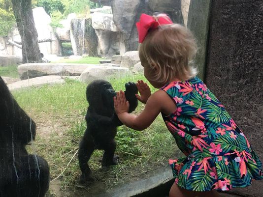 USATODAY's tweet image. This could be the start of a beautiful friendship: usat.ly/1szTCln (Photo: @FortWorthZoo)