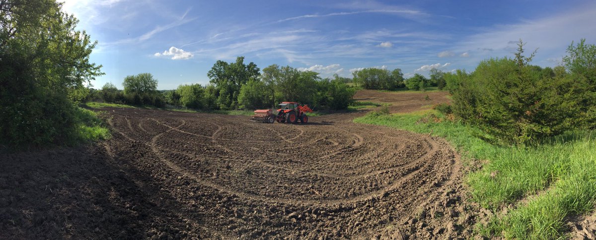 Would you like to hunt over this food plot? iowaoutfittersusa.com