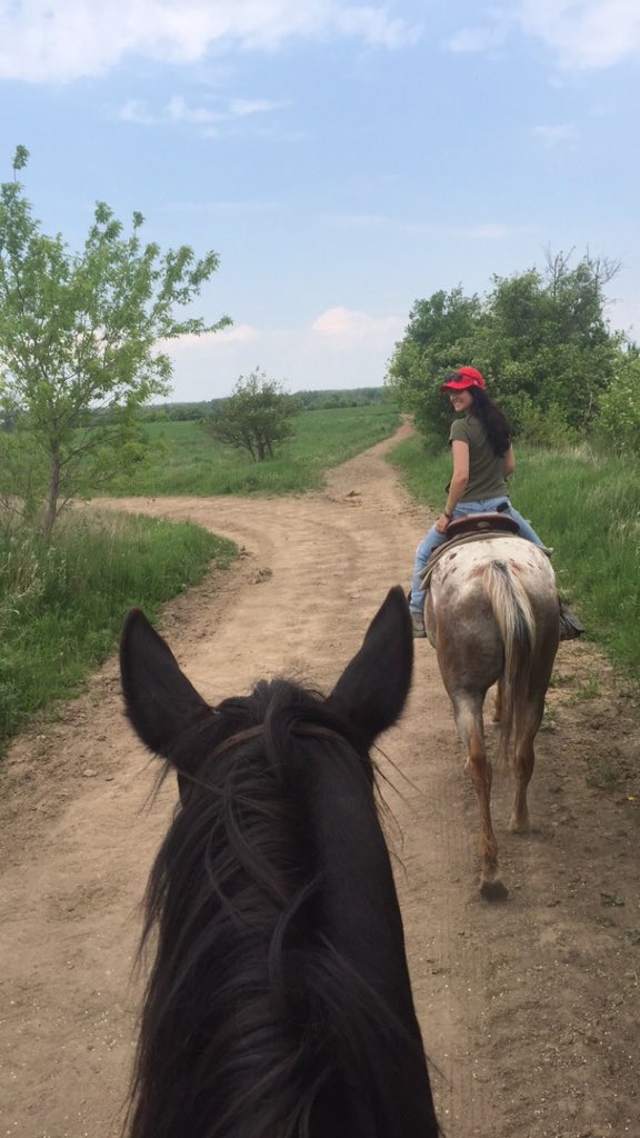 michellevuks's tweet photo. Before Lorena almost ate shit off her horse @Lorenaaromann https://t.co/HpHIo9nAqS