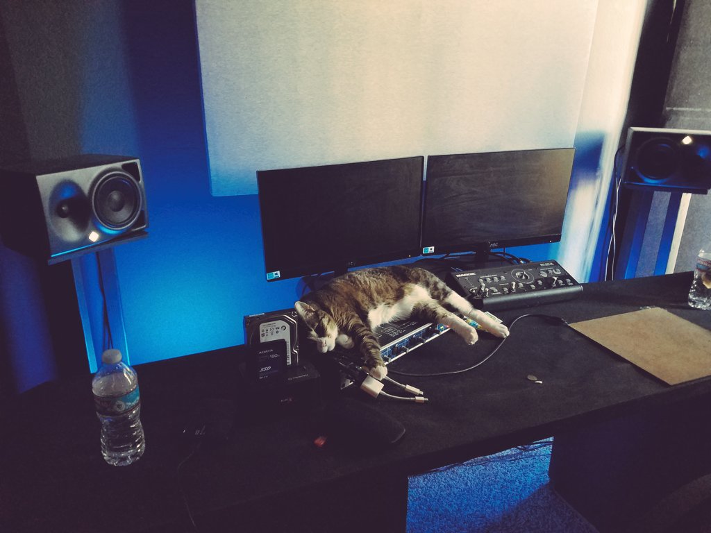 cats ... smfh