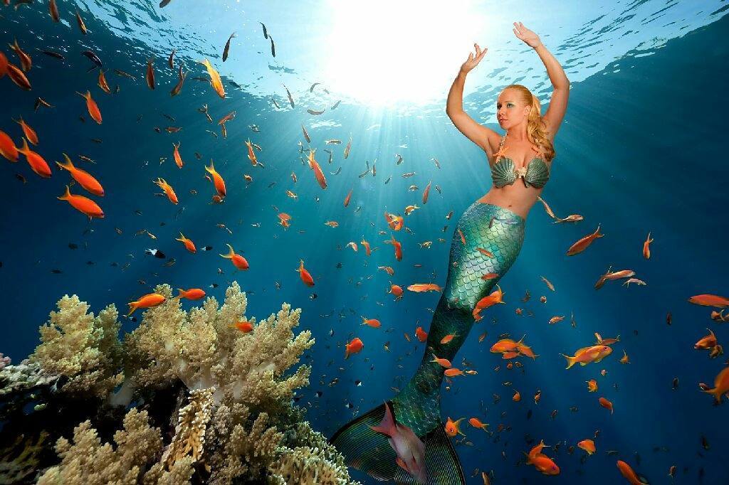 ParadiseCoveStt's tweet photo. corfu.friends shares: Mermaid Melissa #sea #coolphoto #photo #amazing #beautiful #woderfulworld #wonderful_places … https://t.co/8PRP7H8Xfj