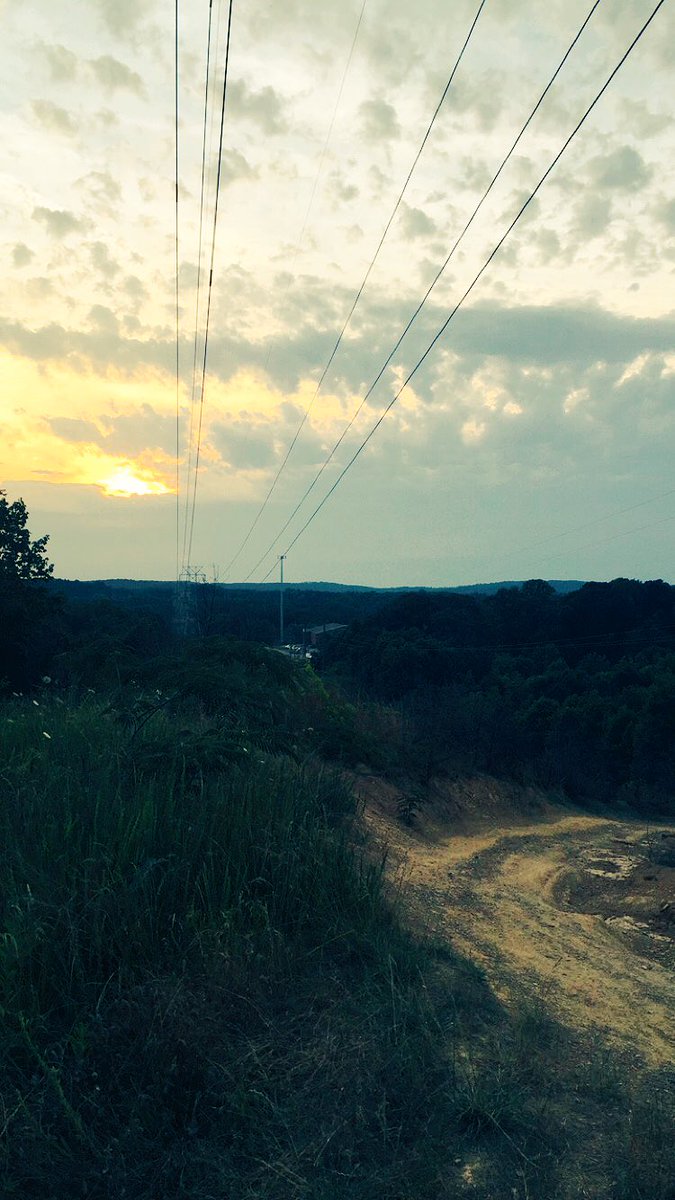 Lannah Campbell tweet media