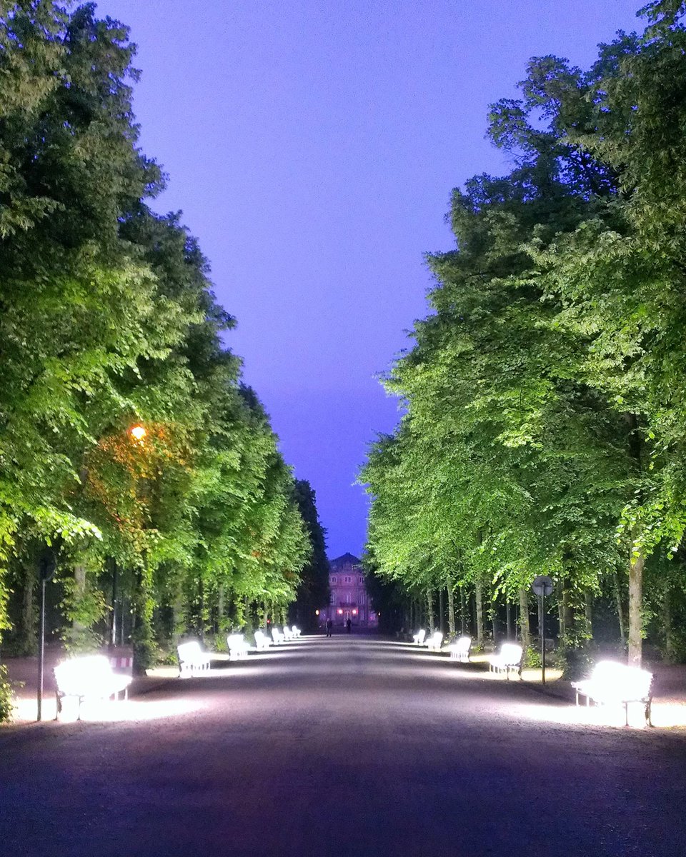 chriswolferts's tweet photo. Have to share my view here while riding bike. How moody is this Boulevard Of Illuminated Benches?! https://t.co/va88ViPTTm