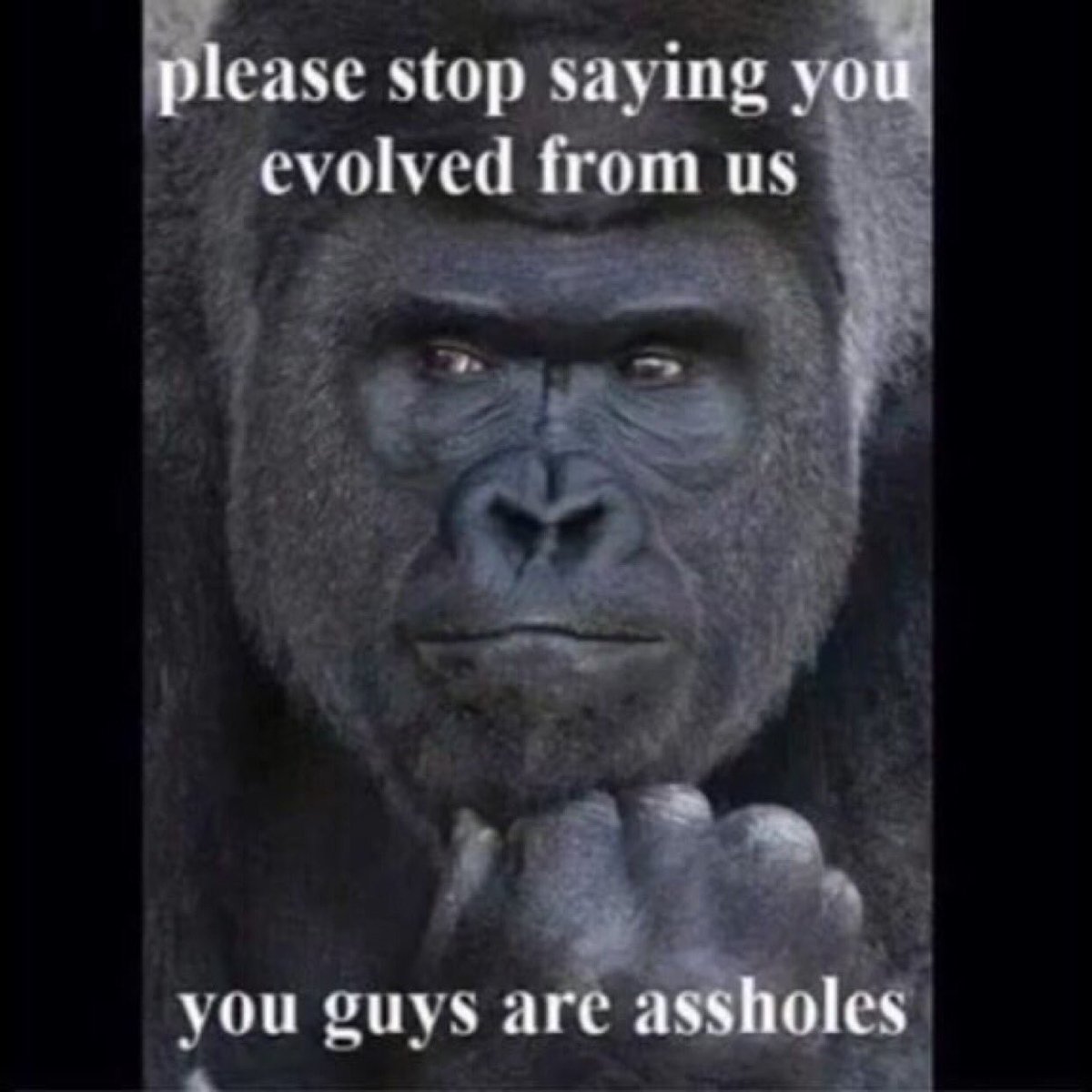 NothingSirius's tweet photo. @hubie0 @MichaelJewell78 @ScientiaPercept @jarek_wiatr @Atomicosm @YouTube Says #YouBeZip you #DupedFool #Geocentric https://t.co/I2bMflUoN8