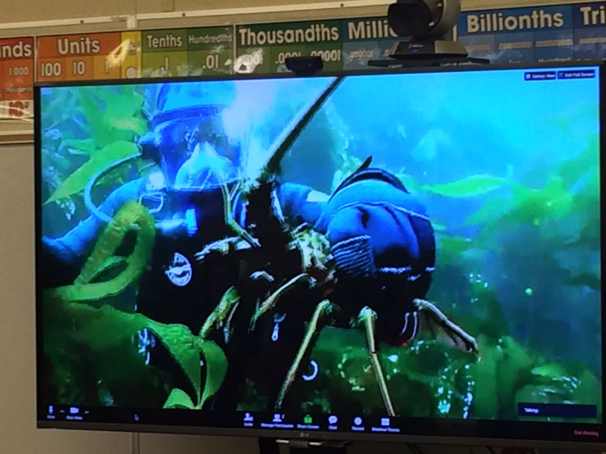 60 RMS gr7s VFT Live Dive off California. <a href="/KevinKaardal/">Kevin Kaardal</a> @MoyraBaxter <a href="/BCBlended/">BC Blended Learning</a> <a href="/TerryBeaudry/">Terry Beaudry</a> @jonrever