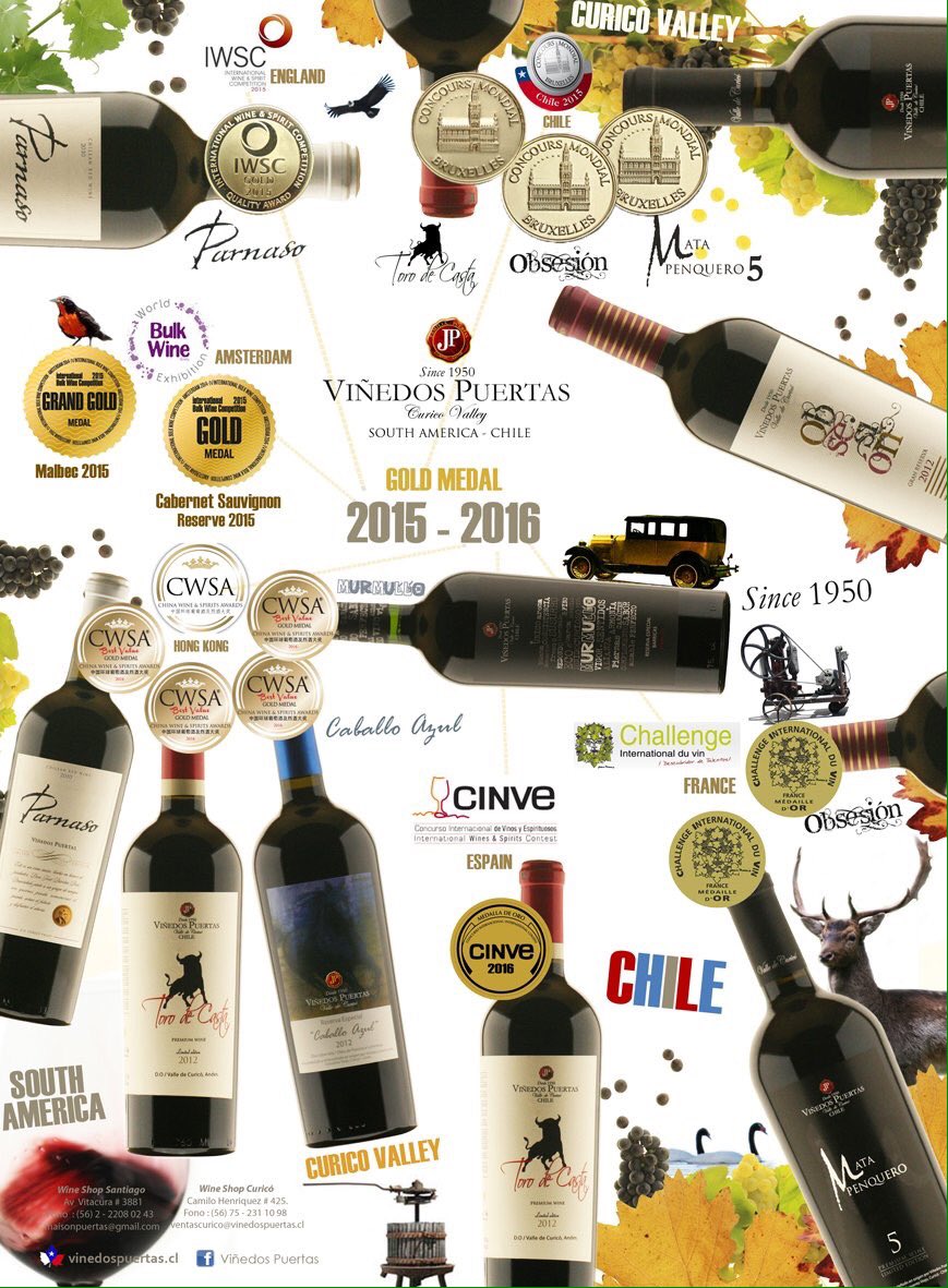 winesofcurico's tweet photo. Todos sus reconocimientos son parte del orgullo que sentimos por vivir en el #ValledeCuricó! Bravo @VinedosPuertas! https://t.co/aHLpnfipd8