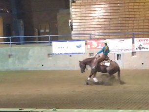 McMSchools's tweet photo. Congrats to MHS junior Kate Noble, equestrian team state champion!  https://t.co/z6U52R0lr6 #OHSET @MHSGrizzlies https://t.co/7XcxGFKawB