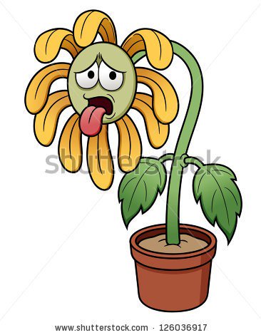 millstreettidyt's tweet photo. The poor aulde flowers need a sup of water.. Can you help https://t.co/c5cLj7PV00 https://t.co/chjMqyJSHL
