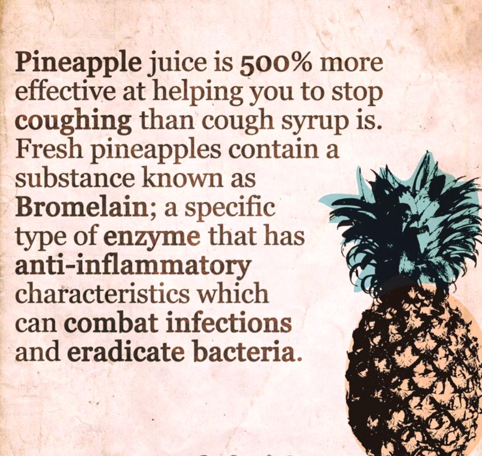 harmonyazores's tweet photo. #Azores #pineapples  #saomiguel #harmonytrailazores https://t.co/7wFLdfZ4xx
