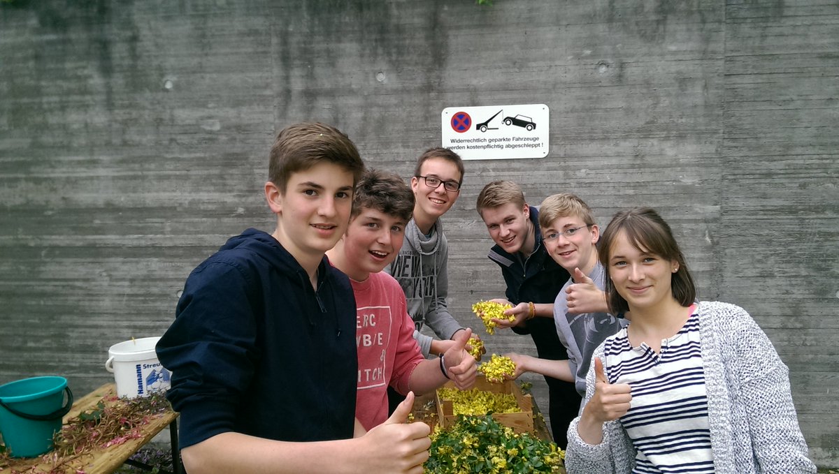 Stadtminis's tweet photo. Heute fand das traditionelle Blumenzupfen der Ministranten für die morgige Fronleichnamsprozession statt. https://t.co/xgMqPxkyC5