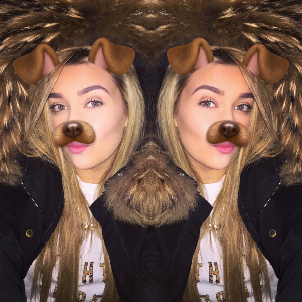 aimiemerrygold's tweet photo. Everyday dog filter🐶 https://t.co/qQaTfRtozN