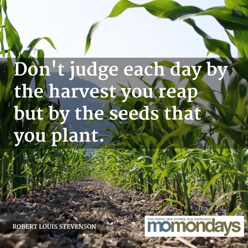momondays's tweet photo. What have you planted today? #moWisdom #momondays https://t.co/kTRu9OhsLl