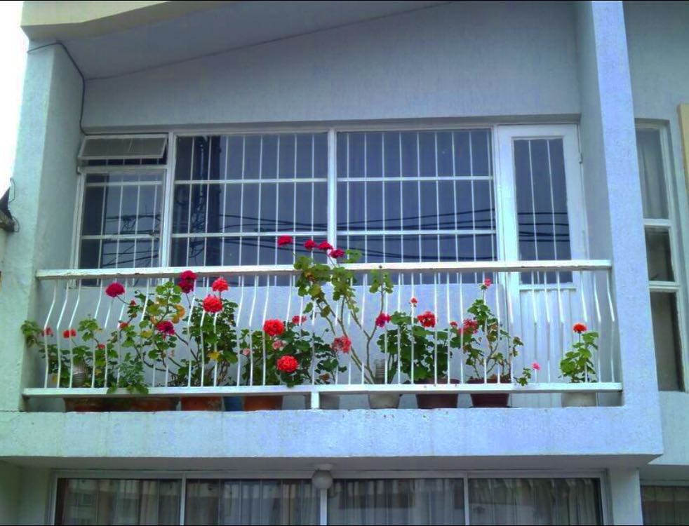 enmicolombia's tweet photo. en Instagram, @patoriveraj publicó: #Flores #flower_magic #comunnityfirst #primerolacomunidad #hallazgosemanal #ige… https://t.co/QuMJbRX7md