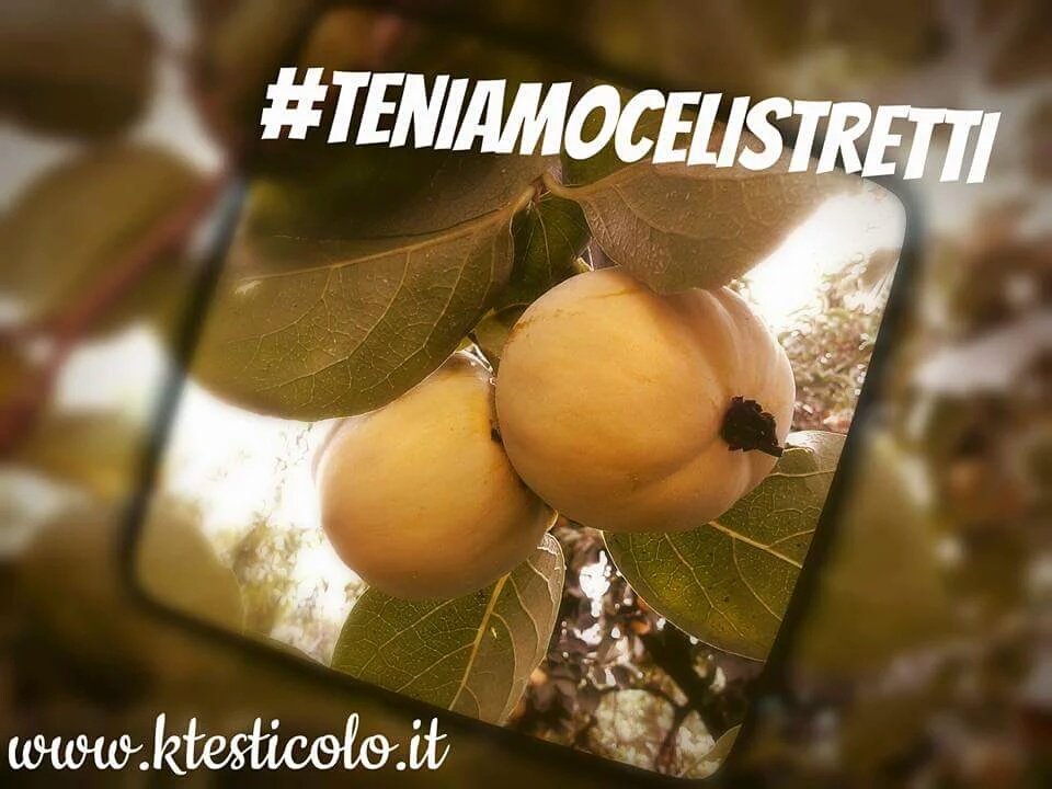 kTesticolo's tweet photo. È tempo di #autopalpazione!
#TeniamoceliStretti #hugYourNuts #tumore #testicolo https://t.co/h4RXQ0V1wi https://t.co/KbTBxVYFIS