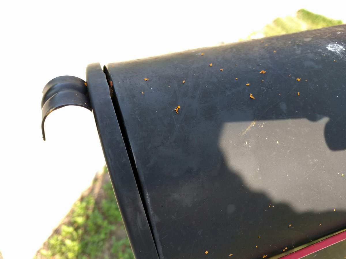 mc_1986's tweet image. .@WCPSS thanks for trashing my mailbox #SchoolBusYellow