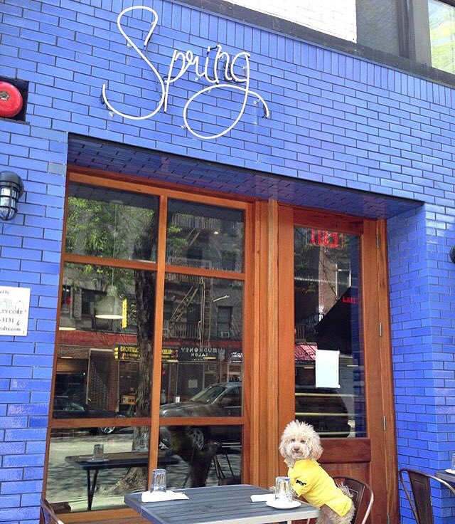 Spring St. Natural (@springstnatural) on Twitter photo 
