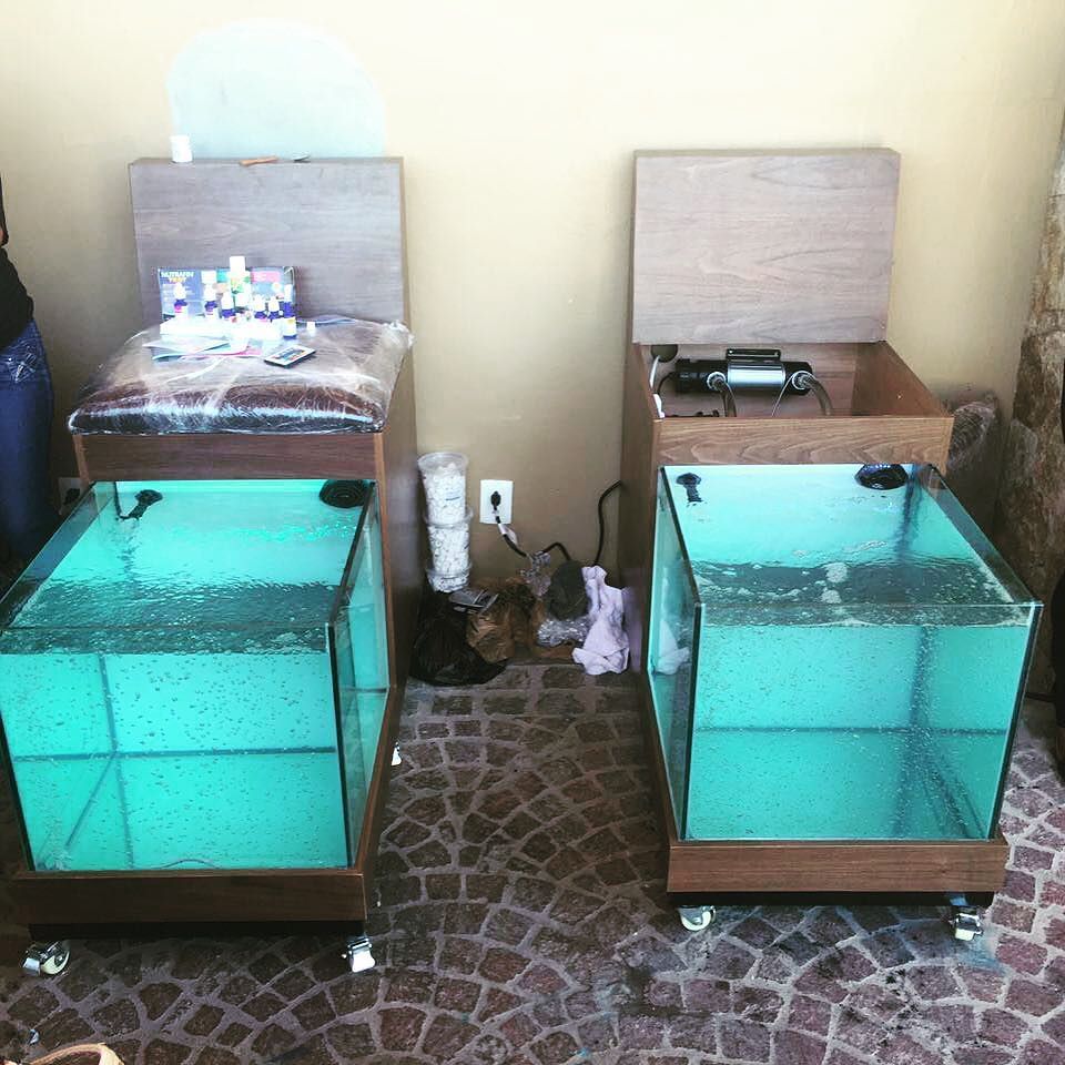 AACabobyBea's tweet photo. Instalación de nuevas peceras #loscabos #bajacalifornia #ictioterapia #poolfishspa #terapia #garrarufas #peces #fis… https://t.co/uEQk2YruHY
