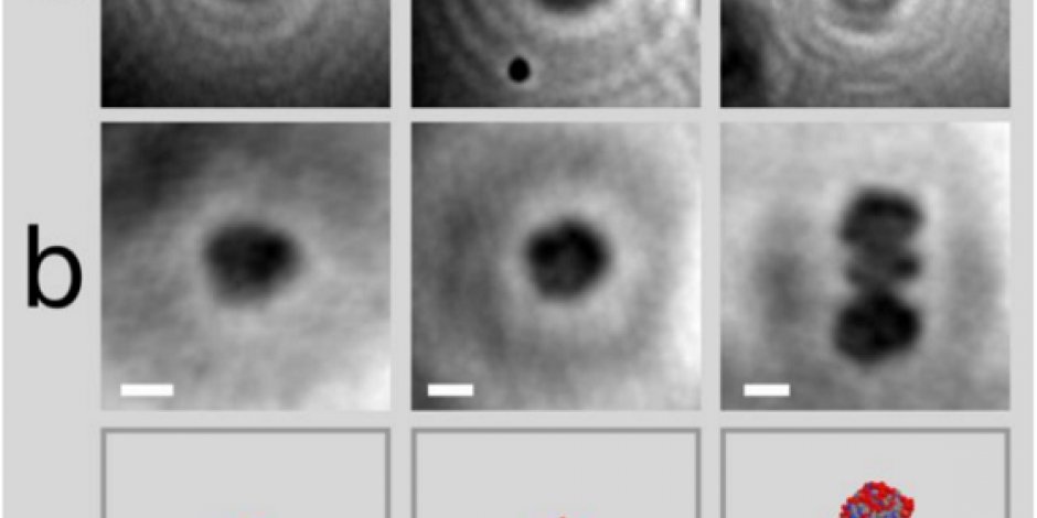 whathappend_oo's tweet photo. In 1956, @whathappend_oo The DNA molecule is first photographed. https://t.co/IczXmzL9PR