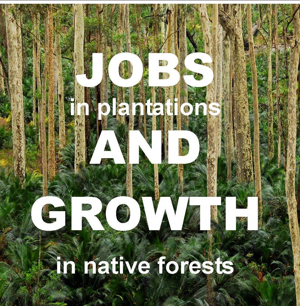 forestsforlife's tweet image. The best kind of growth.#forests #edenmonaro #stopnativeforestlogging