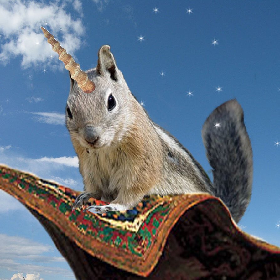 7thManSabres's tweet image. Bringing all the #SquirrelMagic out tonight!! @16_Bit_Legends @StLouisBlues #WeAllBleedBlue @blacksqrl