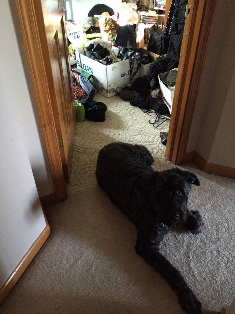 MamaWuh's tweet photo. When she wants to be where all the kids are, but the room is too messy to enter #messychildren https://t.co/KyTVgnZ2LK